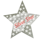 SILVER STAR STICKERS  (LARGE)  